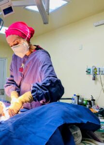 Dra. Alejandra Georgina Ledesma Rodríguez